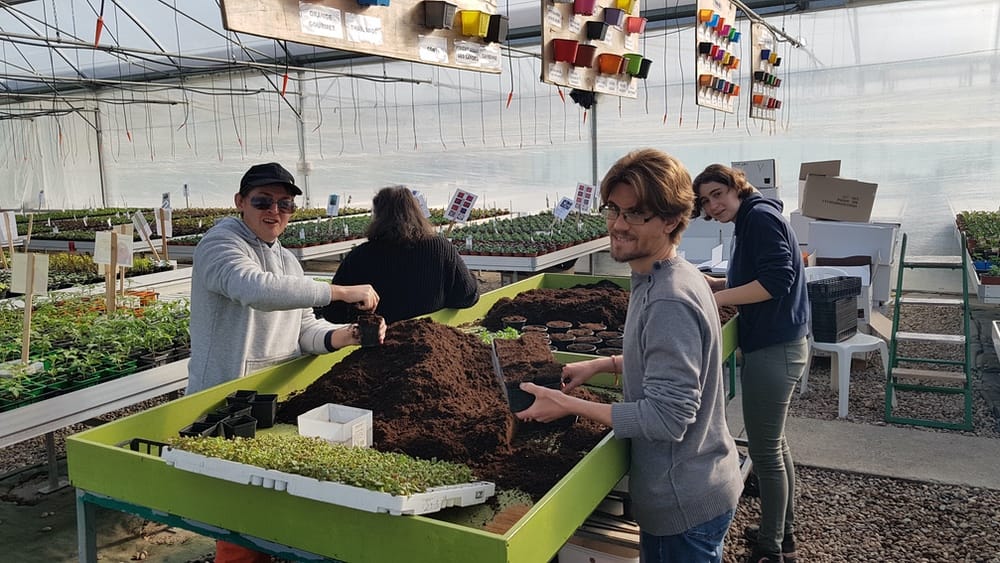 Photo Jardineries et serres Adapei 33 Entreprise