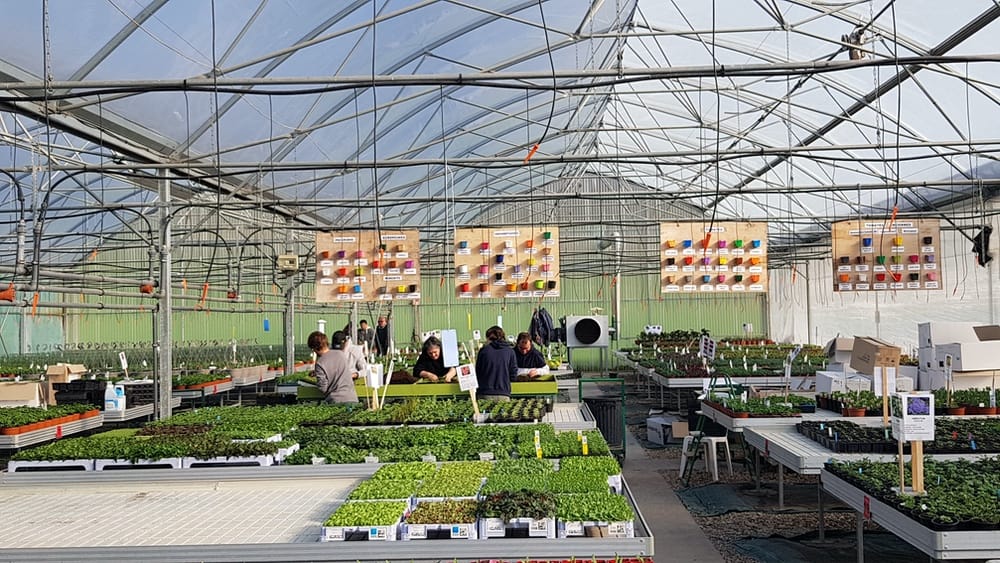 Photo Jardineries et serres Adapei 33 Entreprise