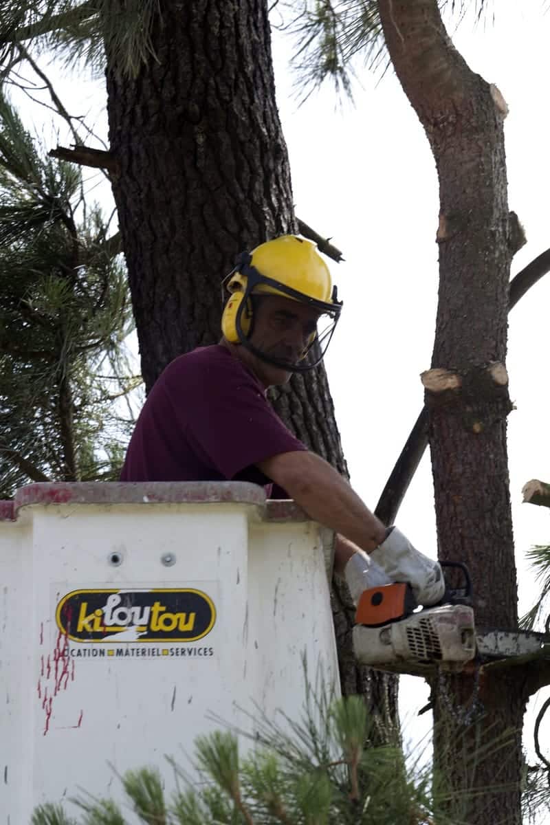 Photo travaux paysagers Adapei 33 Entreprise