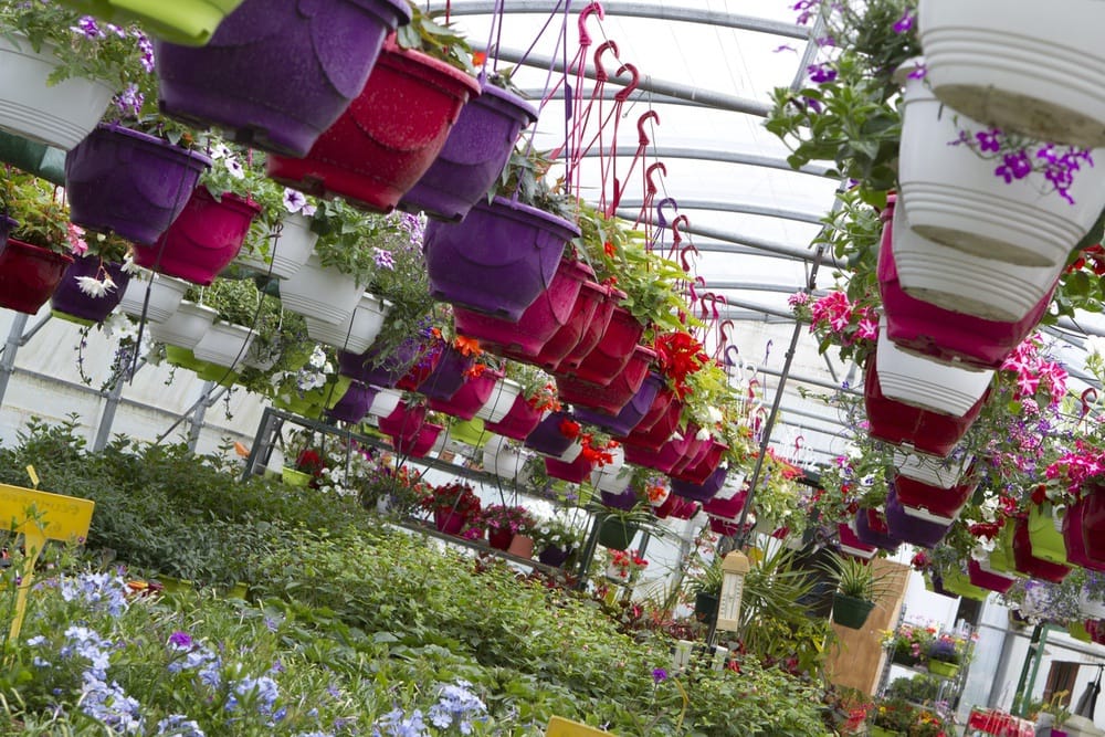 Photo Jardineries et serres Adapei 33 Entreprise