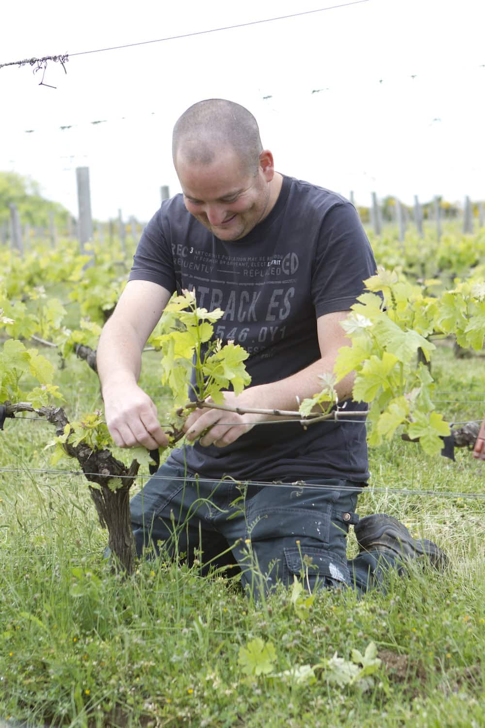 Prestations viticoles Adapei 33