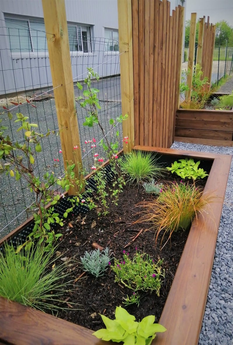 Photo travaux paysagers Adapei 33 Entreprise