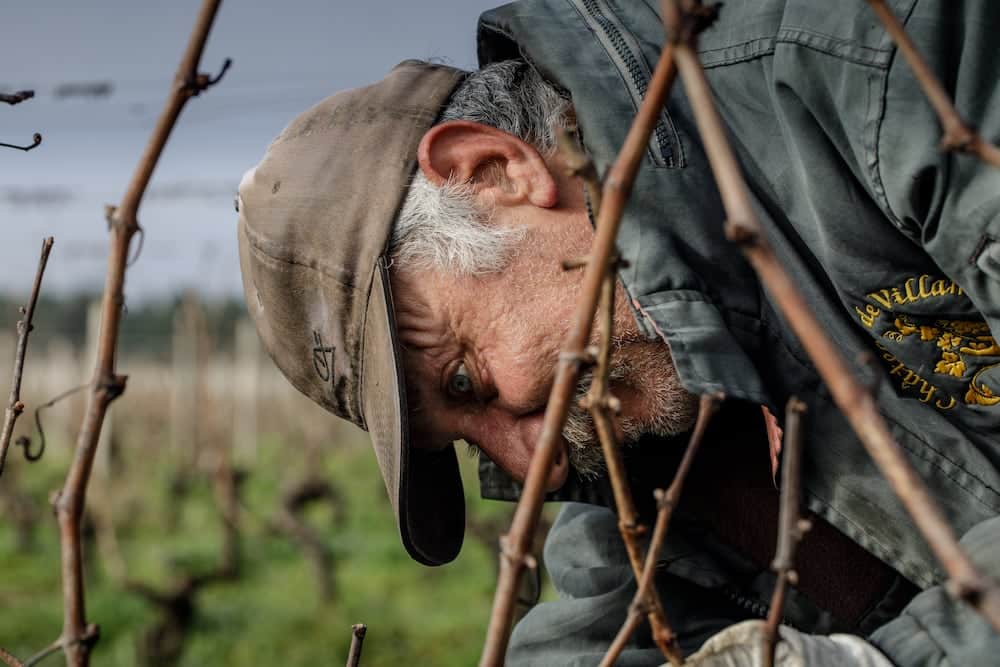 Prestations viticoles Adapei 33