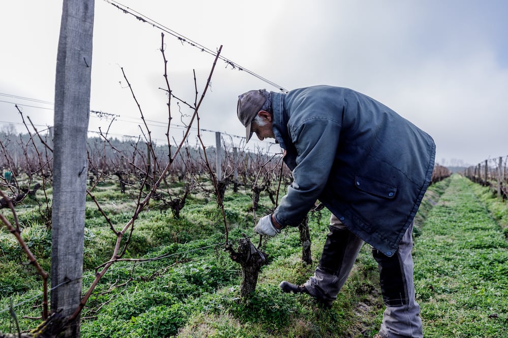 Prestations viticoles Adapei 33