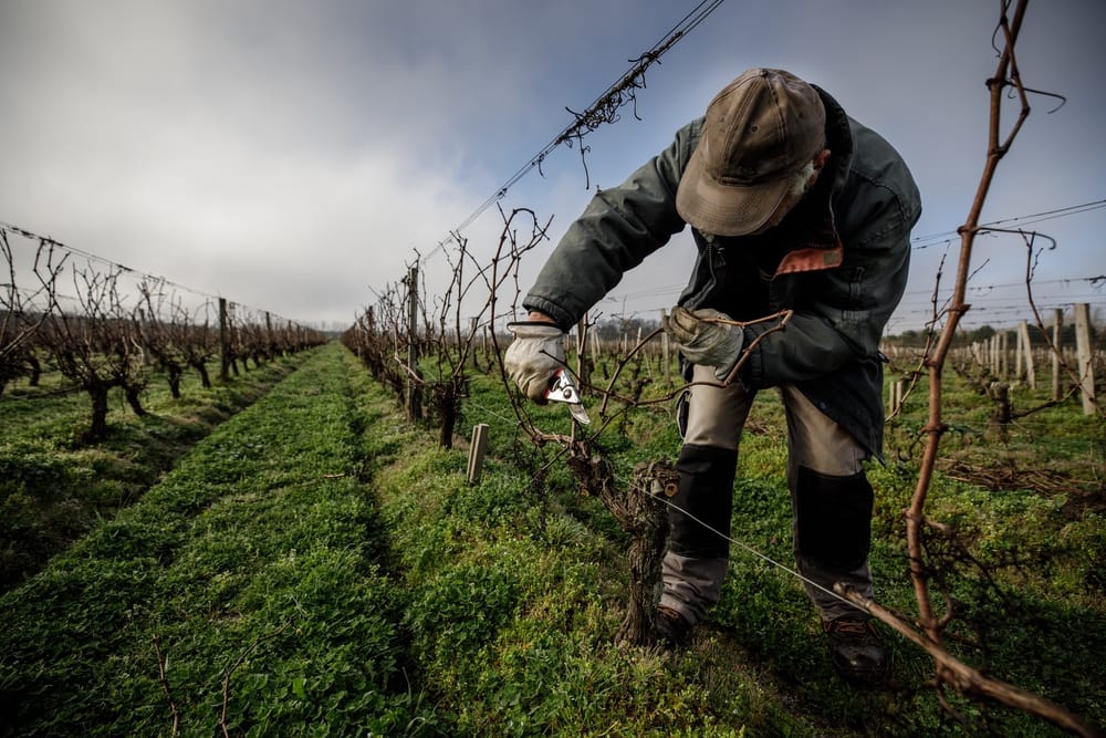 Photo du Chateau de Villambis