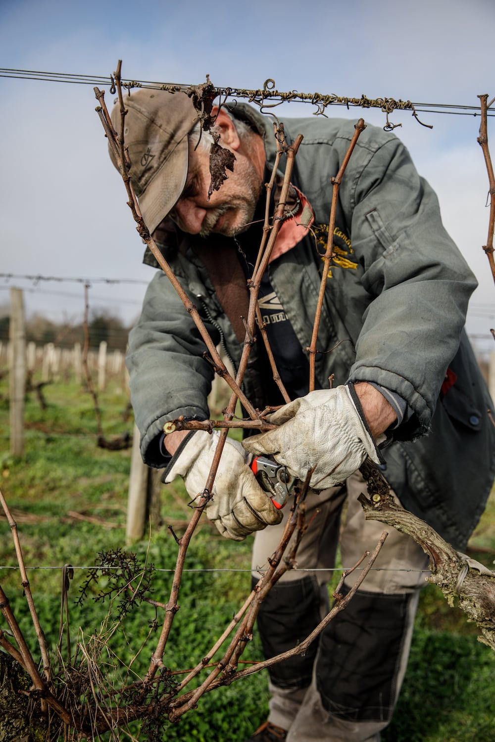 Prestations viticoles Adapei 33