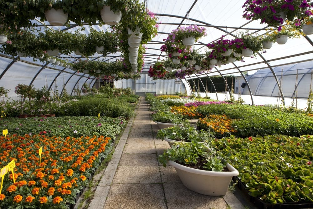 Photo Jardineries et serres Adapei 33 Entreprise