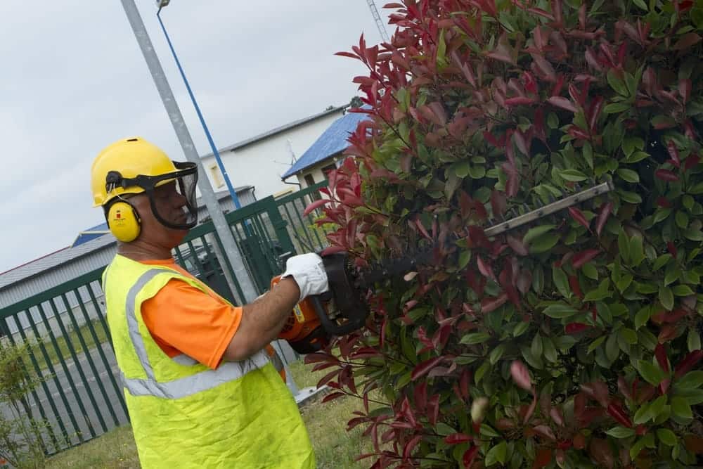 Photo travaux paysagers Adapei 33 Entreprise