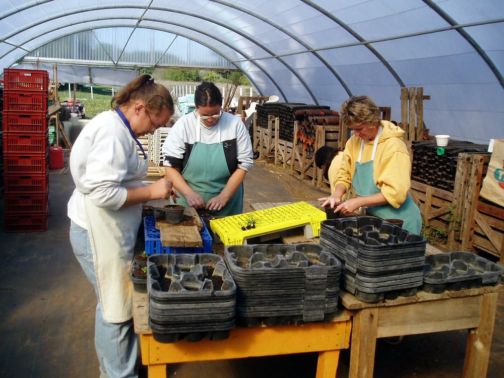 Photo Jardineries et serres Adapei 33 Entreprise