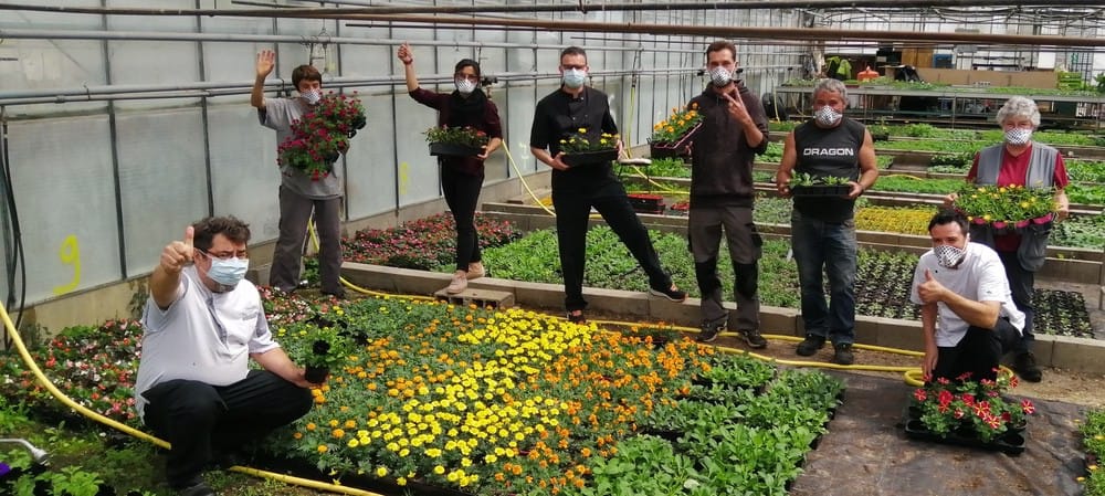 Photo Jardineries et serres Adapei 33 Entreprise