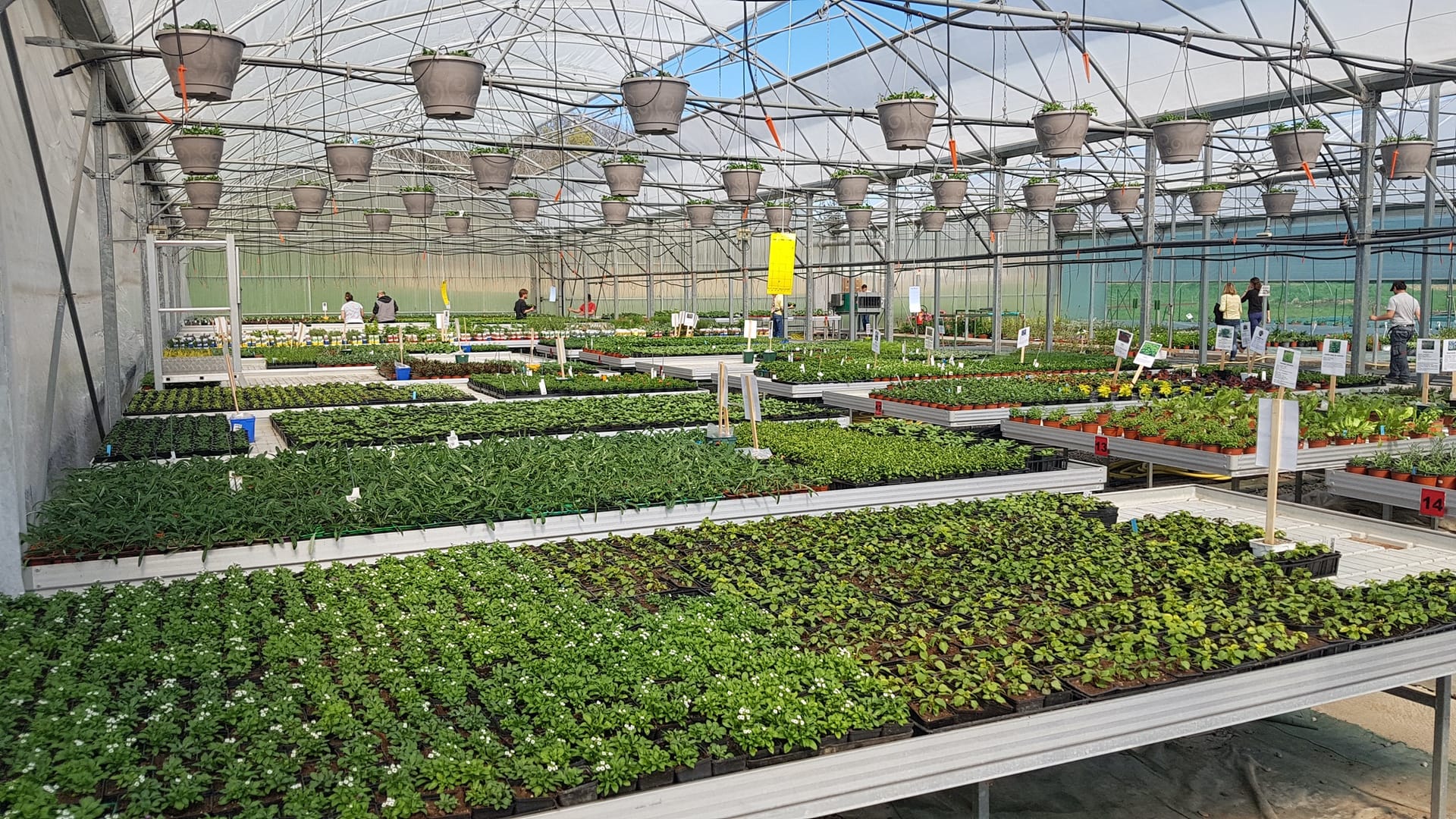 Photo Jardineries et serres Adapei 33 Entreprise