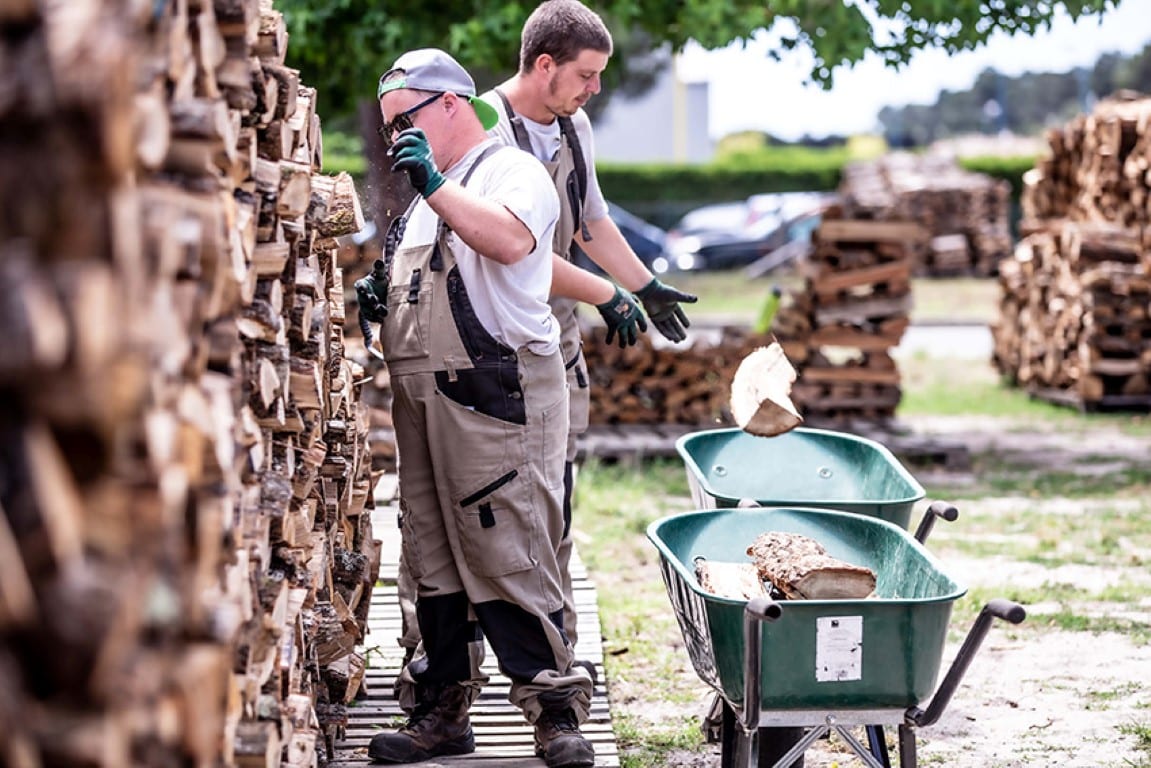 bûches dans une brouette