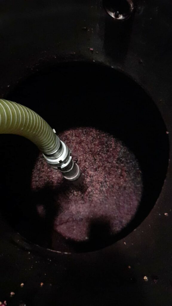 L’attribut alt de cette image est vide, son nom de fichier est IMG-20220930-WA0004-Personnalise-576x1024.jpg.