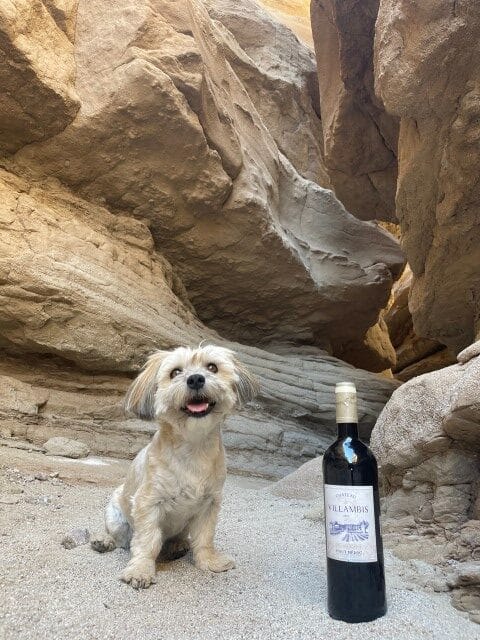 Bouteille Château de Villambis avec chien